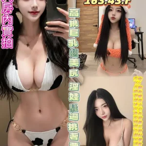 1096231
